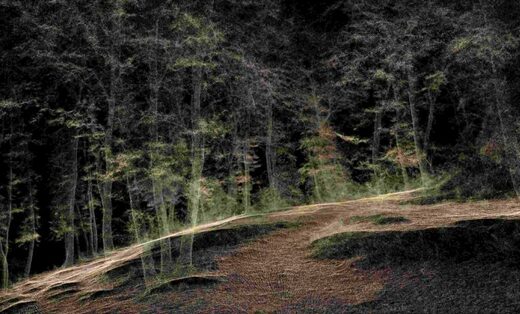 1.Forestry_X120GO-min-768x465.jpg